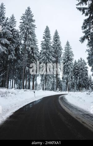 Fahrt durch den verschneiten Wald. Stockfoto