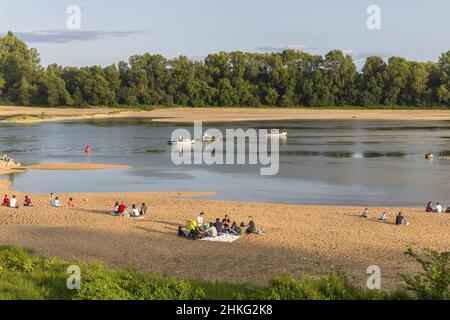 Frankreich, Loire-Atlantique, Ancenis, Loire-Tal, das von der UNESCO zum Weltkulturerbe erklärt wurde, Loire-Radweg, Loire mit dem Fahrrad, Ville Stockfoto