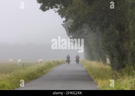 Frankreich, Loire-Atlantique, Ancenis, Loire-Tal, das von der UNESCO zum Weltkulturerbe erklärt wurde, Loire-Radweg, Loire mit dem Fahrrad Stockfoto