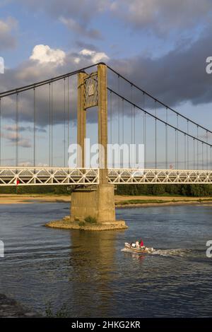 Frankreich, Loire-Atlantique, Ancenis, Loire-Tal, das von der UNESCO zum Weltkulturerbe erklärt wurde, Loire-Radweg, Loire mit dem Fahrrad, Ville Stockfoto