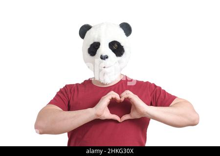 Mann trägt einen Panda-Maskenkopf, der eine Herzform mit isolierten Händen zeigt. Stockfoto