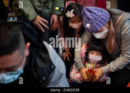 Hongkong, China. 03rd. Februar 2022. Gläubige beten am dritten Tag des Mondneujahres im Sha Tin Che Kung Tempel, um Weihrauch anzuzünden und zu Gottheiten für Segen und Glück im kommenden Jahr in Hongkong zu beten.Quelle: SOPA Images Limited/Alamy Live News Stockfoto