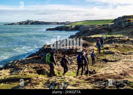 Spaziergänger, die von Amlwch nach Llaneilian auf dem Anglesey Coastal Path wandern, mit Blick entlang der felsigen Küste bis zum Point Lynas. Isle of Anglesey, Nordwales, Großbritannien Stockfoto
