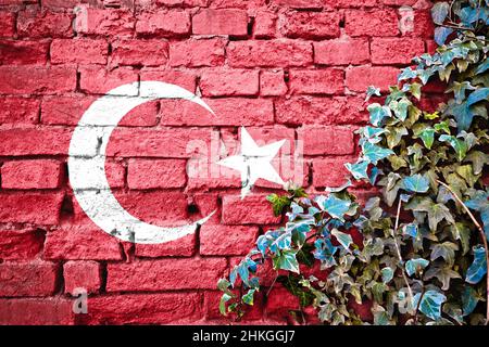 Türkische Grunge-Flagge auf Ziegelmauer mit Efeu-Pflanze, Land Symbol Konzept der Türkei Stockfoto