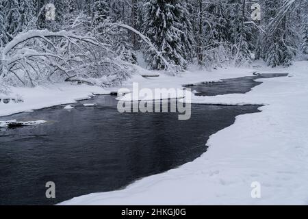 Eisfrei laufender Fluss im verschneiten Wald an einem düsteren kalten Wintertag Stockfoto