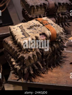 Leavesden, Großbritannien - 9th 2022. Januar: Monster Book of Monsters, zu sehen bei der Making of Harry Potter Tour in den Warner Bros. Studios in Leavesden, NE Stockfoto