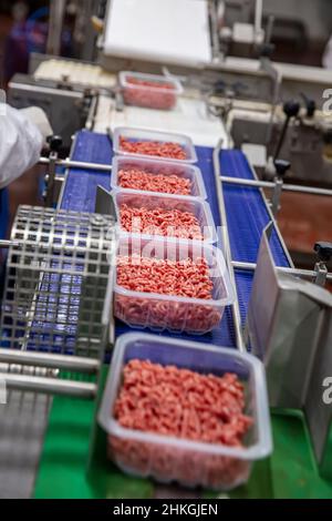 Formen aus Hackfleisch zum Verpacken. Linie für die Herstellung von Halbfabrikaten.Fleischverarbeitung in der Lebensmittelindustrie.Verpackung von Fleischscheiben i Stockfoto