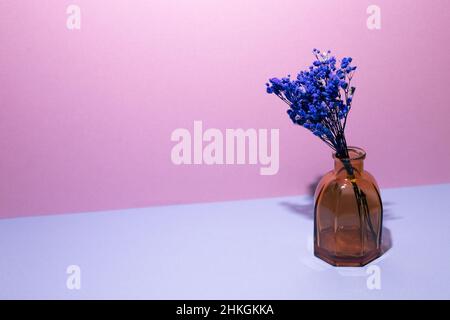 Vase mit blauen Blumen für Babys Atem auf blauem Tisch. Rosa Wand Hintergrund. Home Interieur Stockfoto