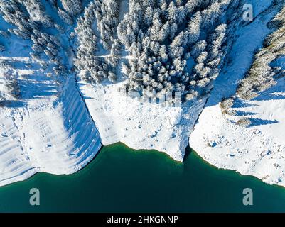 Draufschuss von Pine Tree Forest auf einem verschneiten Berg am Fluss. Stockfoto