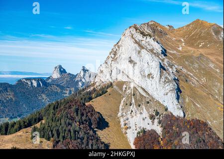 Eine Landschaftsaufnahme von felsigen Berg teilweise mit Tannenwald bedeckt mit blauen Himmel im Hintergrund sieht absolut erstaunlich. Stockfoto