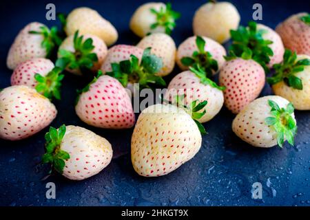 Frisch gewaschene weiße Pineberries auf dunklem Hintergrund: Nahaufnahme von weißen Erdbeeren, die mit Wasser besprüht wurden Stockfoto