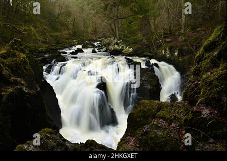 Blick auf einen atemberaubenden Wasserfall am Fluss Braan im Wald der Eremitage bei Dunkeld in Perthshire, Schottland. Stockfoto