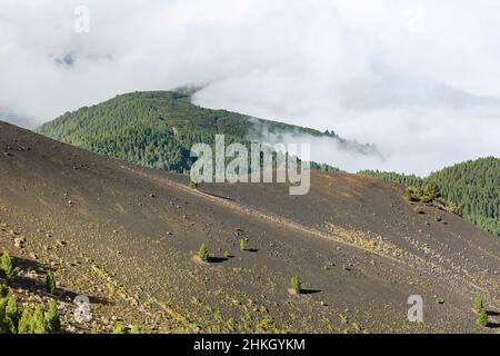 Passat Wolken schieben über die Cumbre Nueva La Palma, Spanien von der Montana la Barquita gesehen. Stockfoto