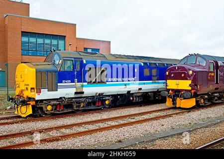 Lokomotive der Regionalbahnen der Baureihe 37 425 und der West Coast Railways der Baureihe 37668, die am Bahnhof York, York, England, stehen Stockfoto