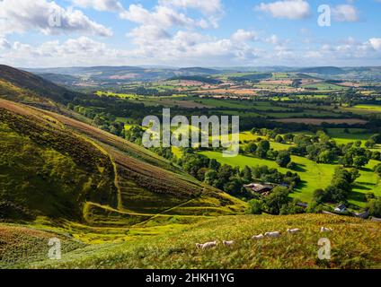 Die Landschaft von South Shropshire von der Westseite des Long Mynd, Shropshire, aus gesehen. Stockfoto