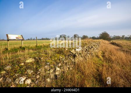 Entlang der zerstörten Verteidigungsmauer von Venta Icenorum die Stelle der römischen Hauptstadt Norfolk, England Stockfoto