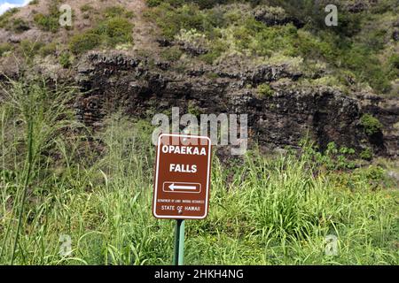 Ein Richtschild für die Opaekaa Falls vor hohen Gräsern, einem Hügel aus vulkanischem Gestein, der mit spärlicher Vegetation bedeckt ist, in Kauai, Hawaii, USA Stockfoto