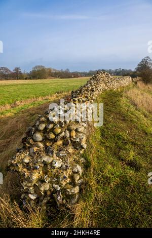 Entlang der zerstörten Verteidigungsmauer von Venta Icenorum die Stelle der römischen Hauptstadt Norfolk, England Stockfoto