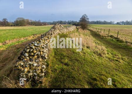 Entlang der zerstörten Verteidigungsmauer von Venta Icenorum die Stelle der römischen Hauptstadt Norfolk, England Stockfoto