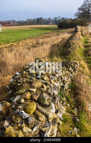 Entlang der zerstörten Verteidigungsmauer von Venta Icenorum die Stelle der römischen Hauptstadt Norfolk, England Stockfoto