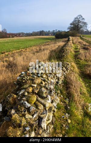 Entlang der zerstörten Verteidigungsmauer von Venta Icenorum die Stelle der römischen Hauptstadt Norfolk, England Stockfoto