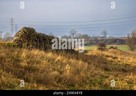 Die Ruinen der defensiven Nordwand der römischen Stadt Caistor „Venta Icenorum“, Norfolk, England Stockfoto