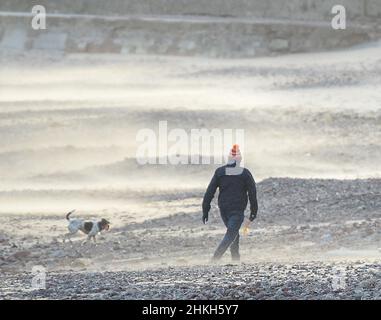 Der Sturm Malik traf Großbritannien, wo Hundewanderer in Dunbar, East Lothian, von Sandstürmen erfasst wurden und Fahrer auf der Hauptstraße A1 in der Nähe von Musselburgh, East Lothian, gefallenen Bäumen nur knapp ausweichen konnten. Stockfoto