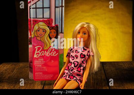 Barbie Puppe Porträt . Stockfoto