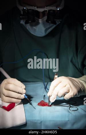 Durchführung einer Mikrochirurgie mit einer einzigen Schremitation durch einen weiblichen Traumatologen und Chirurgen. Stockfoto