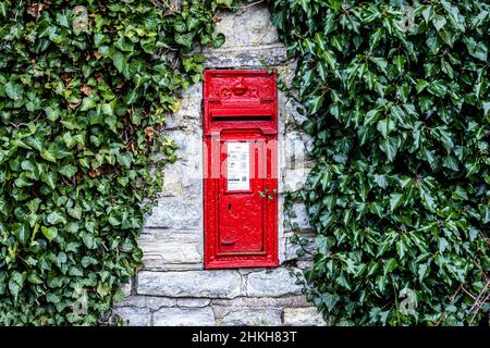 Briefkasten in einer von Ivy umgebenen Mauer in einer Landstraße bei Norton Malreward, England Stockfoto