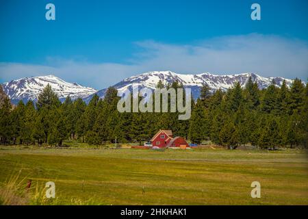 Farm mit roten Gebäuden unter den Pinien mit schneebedeckten Bergen im Hintergrund in der Nähe des Yosemite National Forest in Kalifornien, USA Stockfoto