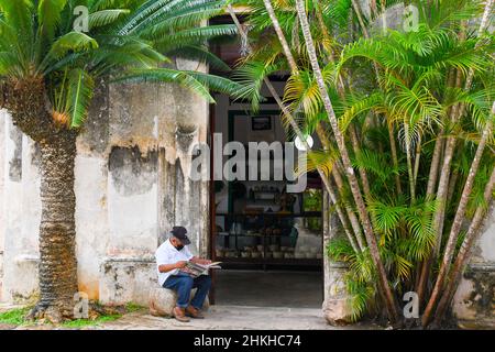 Alter Mann, der eine Zeitung liest, Hacienda Yaxcopoil, Yucatan, Mexiko Stockfoto