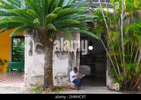Alter Mann, der eine Zeitung liest, Hacienda Yaxcopoil, Yucatan, Mexiko Stockfoto