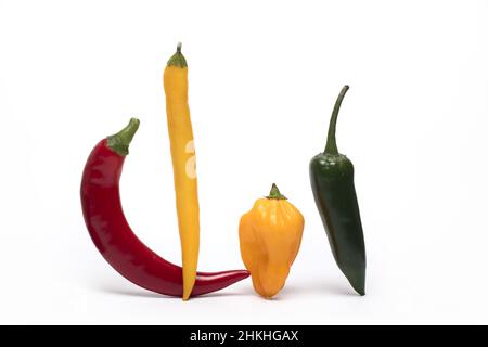 Nahaufnahme mehrerer verschiedenfarbiger Chilischoten nebeneinander mit verschiedenen Formen als Gewürz- und Zutatengaren auf weißem Hintergrund Stockfoto