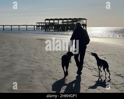 Ein älterer Mann geht mit seinen Hunden am Strand in der Nähe des Piers auf Jekyll Island, Georgia, USA, einem beliebten Luxus-Ziel für langsame Reisen. Stockfoto