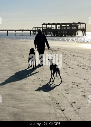 Ein älterer Mann geht mit seinen Hunden am Strand in der Nähe des Piers auf Jekyll Island, Georgia, USA, einem beliebten Luxus-Ziel für langsame Reisen. Stockfoto