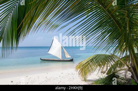 Unberührter Palmenstrand mit traditionellem Segelboot auf der Insel Chichime (San Blas) Stockfoto