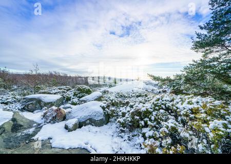Die Greater Amund Island ist ein Naturschutzgebiet an der schwedischen Westküste Stockfoto