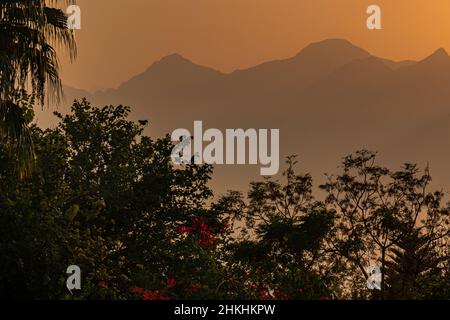 Tropische Landschaft in der Dämmerung - Pflanzenbilder und neblige Berge während des Sonnenuntergangs Stockfoto