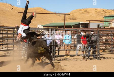 JACKASS FOREVER 2022 Paramount Picturfilm mit Johnny Knoxville Stockfoto