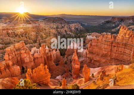 Magisches Aufprall-Licht lässt die Hoodoos unterhalb des Sunset Point, einschließlich Thor's Hammer, im Bryce Canyon National Park, Utah, fast durchsichtig erscheinen. Stockfoto