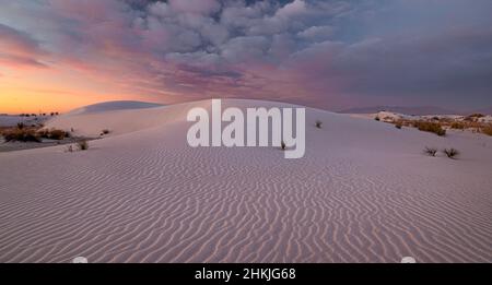 Pink Sunrise, White Sands National Park Stockfoto