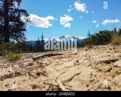 Jackman Flats BC Stockfoto