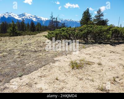 Jackman Flats BC Stockfoto