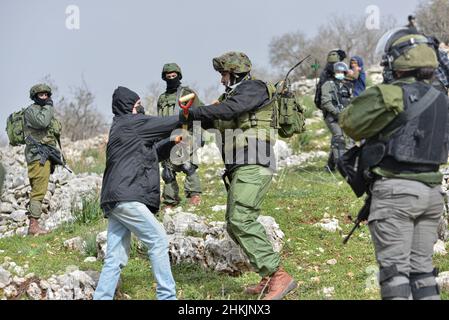 Ein israelischer Friedensaktivist, der versucht, die Soldaten in den Rand des Komplotts zu überqueren. Hunderte von israelischen und palästinensischen Friedensaktivisten hatten im palästinensischen Dorf Burin, unterhalb des jüdischen illegalen Außenpostens von Givát Ronen, Olivenbäume gepflanzt. Zwei Wochen vor der Veranstaltung wurde eine Gruppe jüdischer Friedensaktivisten, die zur Olivenplantage eintrafen, von der Jugend von Givát Ronen gewaltsam angegriffen. Heute hatten sich die IDF-Truppen zwischen den Aktivisten und den Siedlern getrennt. Ein israelischer Aktivist wurde während der Veranstaltung verhaftet. Burin, Palästina. Februar 04th 2022. (Foto von Matan Golan/Sipa USA) Stockfoto