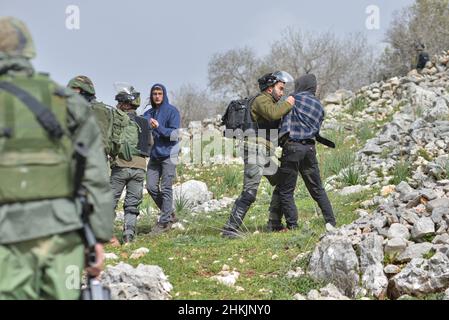 IDF-Soldaten verhinderten, dass jüdische Siedler die Aktivisten erreichten. Hunderte von israelischen und palästinensischen Friedensaktivisten hatten im palästinensischen Dorf Burin, unterhalb des jüdischen illegalen Außenpostens von Givát Ronen, Olivenbäume gepflanzt. Zwei Wochen vor der Veranstaltung wurde eine Gruppe jüdischer Friedensaktivisten, die zur Olivenplantage eintrafen, von der Jugend von Givát Ronen gewaltsam angegriffen. Heute hatten sich die IDF-Truppen zwischen den Aktivisten und den Siedlern getrennt. Ein israelischer Aktivist wurde während der Veranstaltung verhaftet. Burin, Palästina. Februar 04th 2022. (Foto von Matan Golan/Sipa USA) Stockfoto