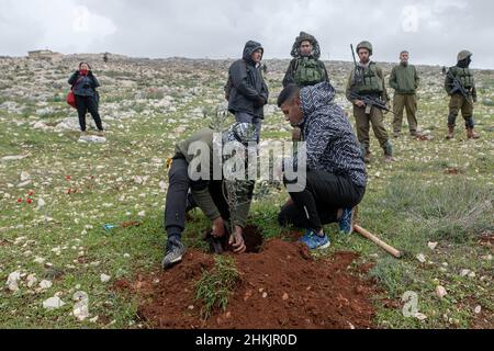 Burin, Palästina. 04th. Februar 2022. Kredit: Matan Golan/Alamy Live Nachrichten Stockfoto