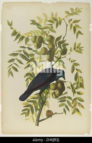 Kunst inspiriert von American Crow, John James Audubon, Amerikaner, geboren Haiti, 1785-1851, Chromolithograph, 1861, 19th Jahrhundert, Amerikaner, Apfelbaum, Audobon, Vogel, Zweige, Corvus Americanus, Krähe, Fauna, Flora, Frucht, Blätter, Naturstudie, Oliven, Ornithologie, Druck, ruby-throated, Klassische Werke, die von Artotop mit einem Schuss Moderne modernisiert wurden. Formen, Farbe und Wert, auffällige visuelle Wirkung auf Kunst. Emotionen durch Freiheit von Kunstwerken auf zeitgemäße Weise. Eine zeitlose Botschaft, die eine wild kreative neue Richtung verfolgt. Künstler, die sich dem digitalen Medium zuwenden und die Artotop NFT erschaffen Stockfoto