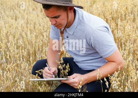 Digitale Farm. Porträt eines Bauern, der in einem goldenen Weizenfeld sitzt und auf einem Tablet schreibt. Junger Mann mit Cowboyhut auf dem Feld, der Weizenernte untersucht. Hafer g Stockfoto