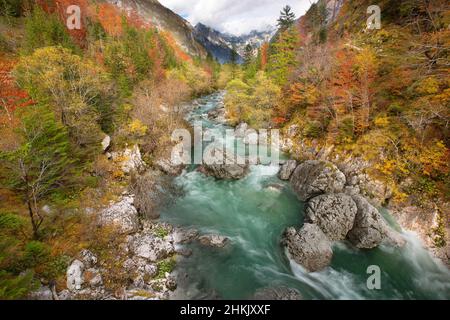 Soca im Triglav Nationalpark im Herbst, Slowenien, Triglav Nationalpark, Kransjka gora Stockfoto